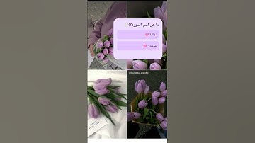 القران الكريم #القارئ ياسر الدوسري #ارح قلبك 🫀#راحة نفسيه🪻🪻🪻 #استغفر_الله_واتوب_إليه 🪻🪻🪻🪻🪻🪻🪻🪻🪻🪻🪻🪻🪻🪻🪻