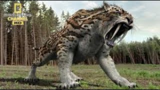 Documentary  Prehistoric predators  Wildlife Animals