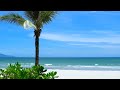 Gentle waves on a tropical beach  relaxing ocean sounds for study meditation sleeping