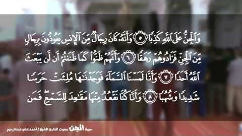 القارئ الشيخ أحمد علي عبدالرحيم | سورة الجِّن 072