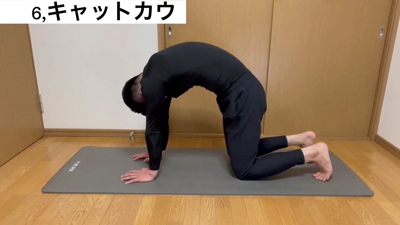 腰 前傾姿勢 治し方 | 前屈前かがみで腰が痛い原因と対処法とは – SRRWV