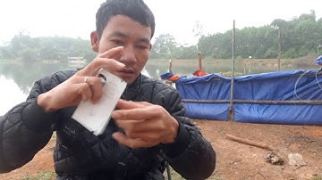 CÂU CÁ MƯƠNG. hướng dẫn tỷ mỷ cách câu cá mương và cái kết đắng cho 1 ngày đen đủi