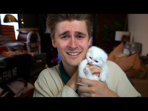 BEAT ME IN A 1V1 WIN $10,000 (ft my cat) - BEAT ME IN A 1V1 WIN $10,000 (ft my cat)