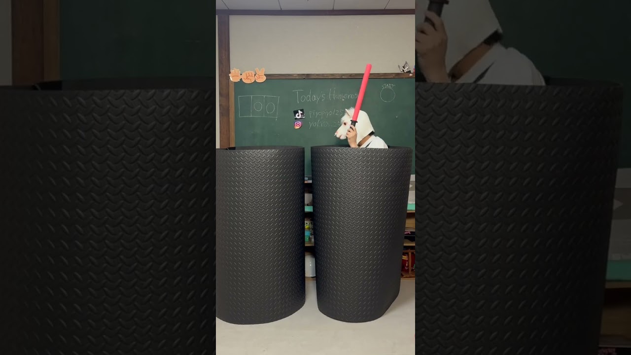 Human Whac-A-Mole Fight #funny #今日ほむ #comedy