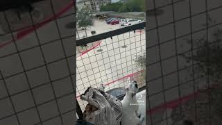 Walter Auctioning Off Our Apartment