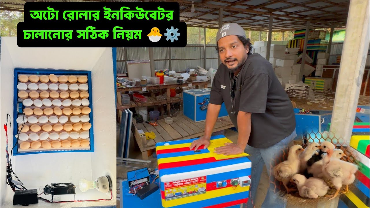 অটো রোলার ইনকিউবেটর চালানোর সঠিক নিয়ম 🐣⚙️