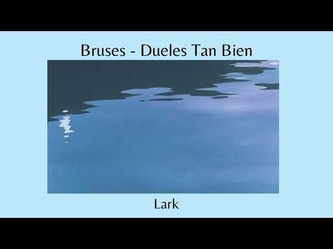 Bruses Dueles Tan Bien Slowed Reverb
