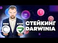 Как стейкать KTON и RING? Пошаговая инструкция для новичков | Darwinia network