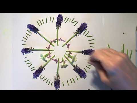 Follow Lisa: The Most Amazing Flower Mandala Tutorial