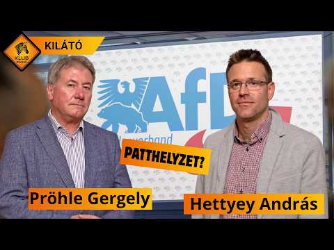 Politikai földrengés Németországban? Tarolt az AfD | Kilátó