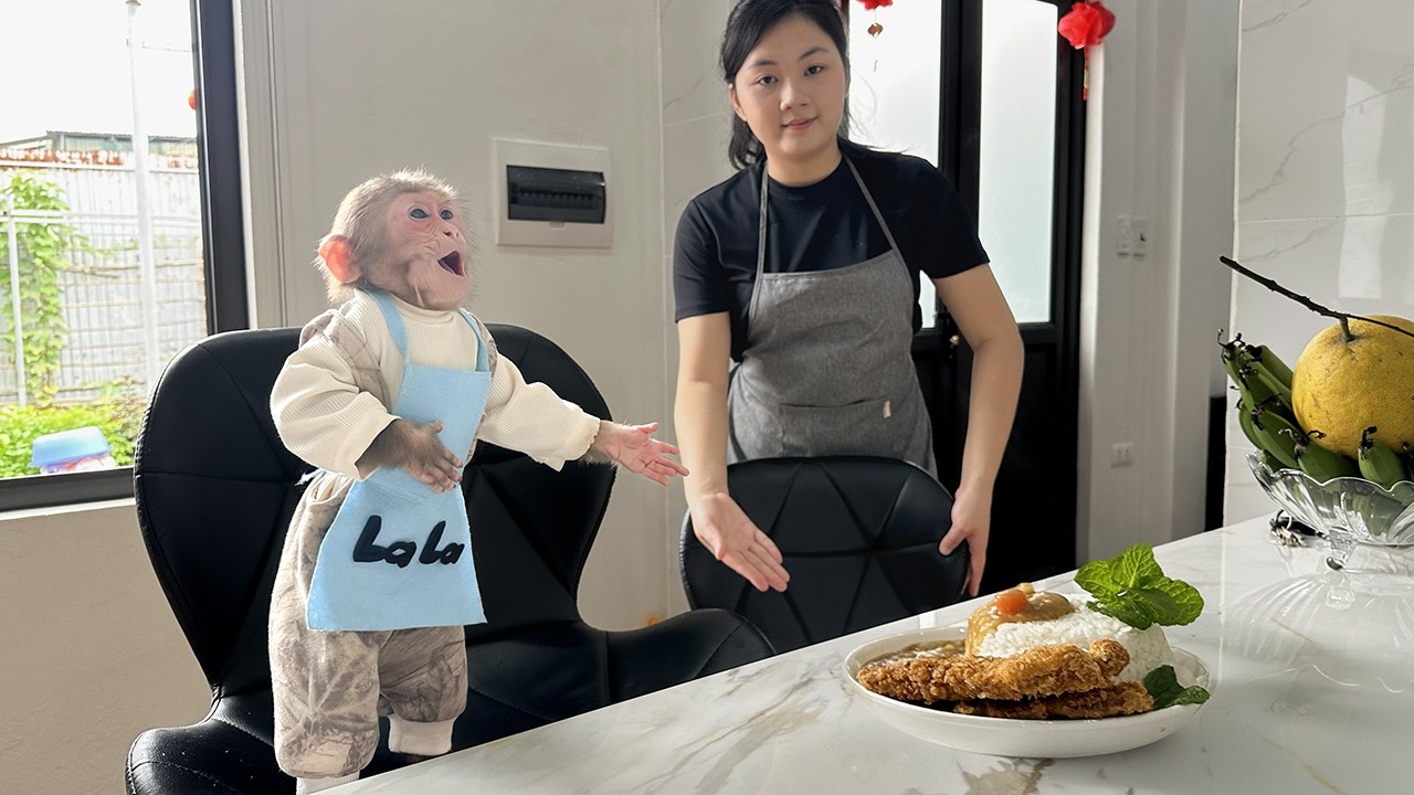 Chef Lala prepared a lavish meal to invite the cameraman to enjoy!