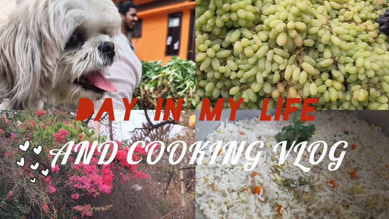 Day in my life Vlog #7