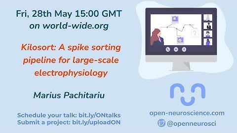 World Wide Series | Open Neuroscience - 28/05/2021 - Marius Pachitariu