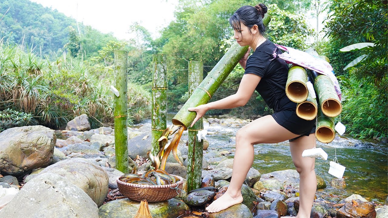Make your own bamboo trap and drop it in the stream – Catch 5kg of ...