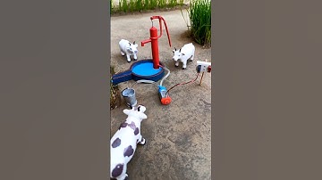 Mini Handpump Water Motor And Cow Video Project