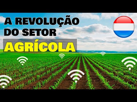 Vídeo: Islândia: economia, indústria, agricultura, padrão de vida