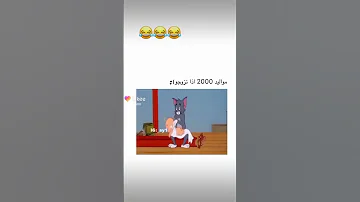 البنات اللي من مواليد 2000 