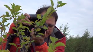 Macro Photography In the Field | Close up Photography with a Canon 100mm f/2.8 Lens