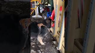 Wiima Kadonneita Avaimia Etsimässä