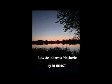 Lass sie tanzen x Ma Cherie Tiktok  Mashup