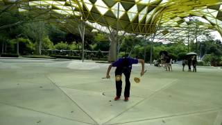 2D Yuet Jin Jie 2016 week 28 - 2JJ28
