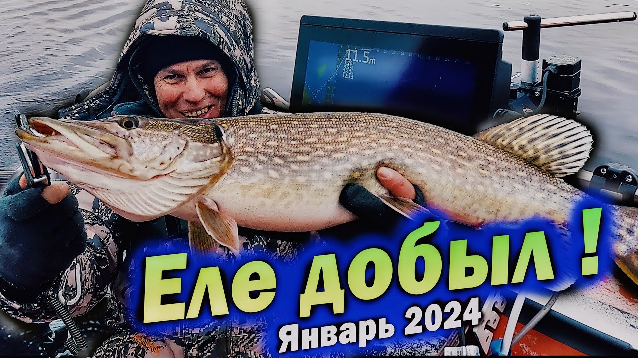 Апрель 2024 щука