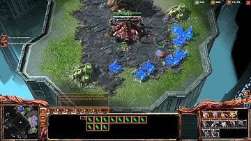 Heart of the Swarm Beta - PsY vs pheNixXX- ZvP