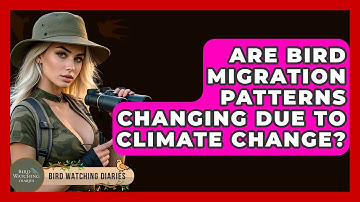 Are Bird Migration Patterns Changing Due To Climate Change? - Bird Watching Diaries