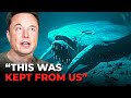 Elon Musk Tells Us What The Navy Saw While Diving in the Deep Sea