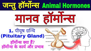 मानव हॉर्मोन्स (Human hormones)| endocrine system in hindi | harmon | hormones | Pituitary glands screenshot 1