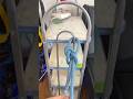 SRT Rope Technique – Learn Rabbit Ear vs Figure Eight Knot for Rope Rescue Skills" #knot #shorts