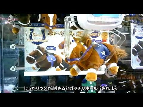 クレーンゲーム】競走馬ぬいぐるみ マヤノトップガン 他3種 - YouTube