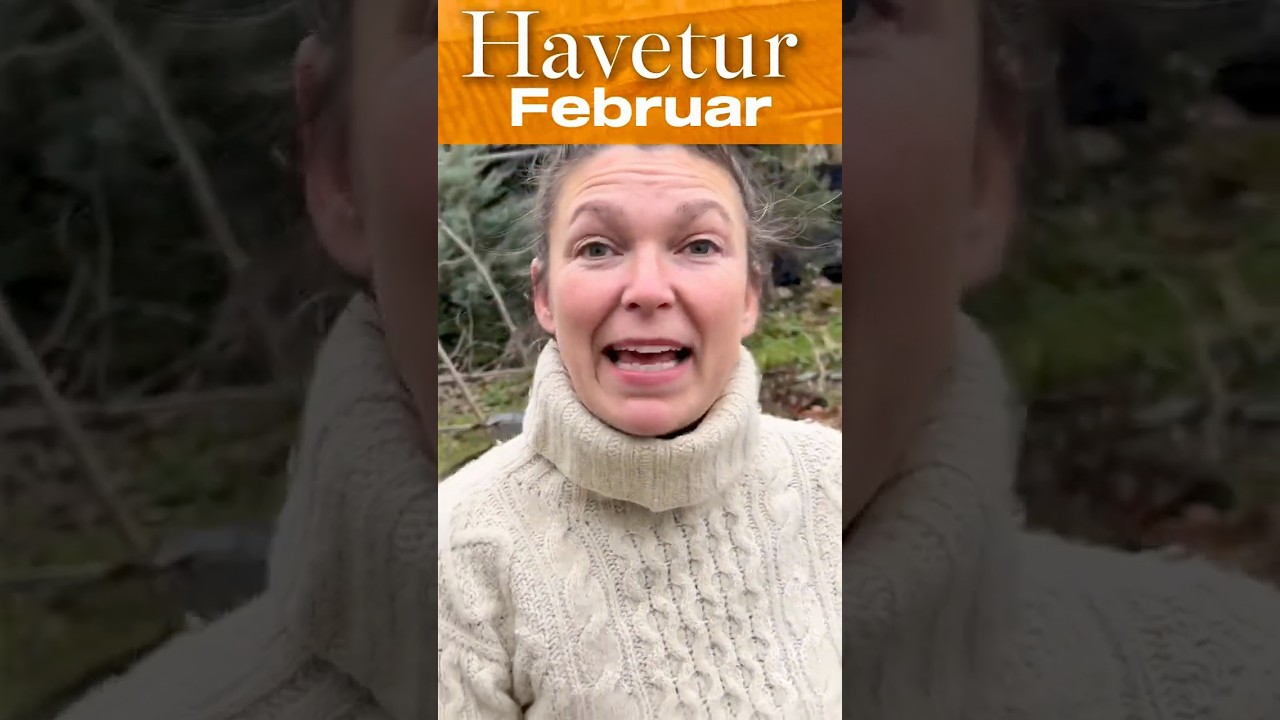 Gå er tur med mig i køkkenhaven og haven i februar. Jeg fortæller hvad jeg bruger måneden på.