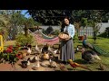 NO MEIO DA CIDADE ELA CRIA MAIS DE 80 AVES EXÓTICAS
