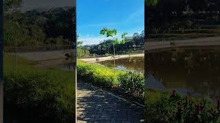 surah ghashiya|surah al ghashiyah#tilwatquran