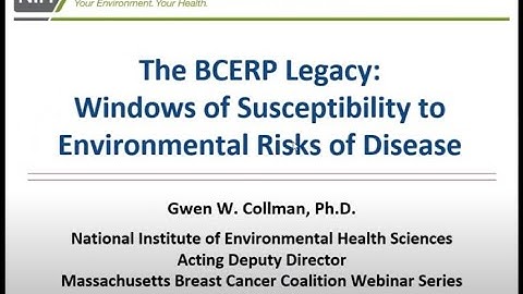 The BCERP Legacy  Windows of Susceptibility to Environmental Risks of Breast Cancer
