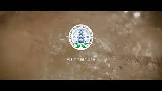 Texas Environmental Excellence Awards:  Questions #1