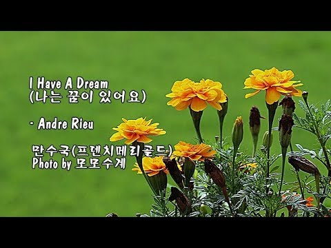 I Have A Dream (나는 꿈이 있어요)/<strong>Andre</strong> Rieu &amp;amp; Photo by 모모수계