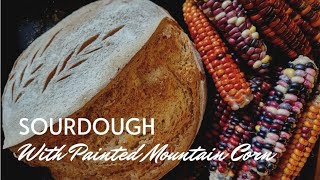 Painted Mountain Corn Recipe Series -  Sourdough Bread you can grow in your SURVIVAL GARDEN!