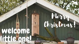 Woodworking for Christmas - Building a SparrowFlat