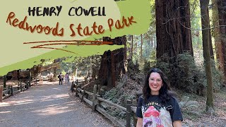 Henry Cowell Redwoods State Park Santa Cruz Mountain Trail Walking through the Redwoods 4K