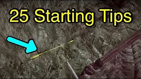 Far Cry Primal: Top 25 Starting Tips