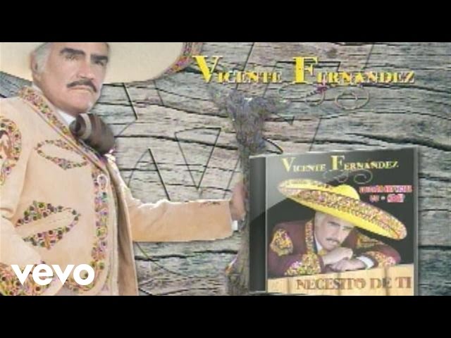 Vicente Fernandez - Esa noche te olvide