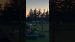 Saturday Sunset! #sunset #nature #cow #tree #farmlife #youtubeshorts #shorts