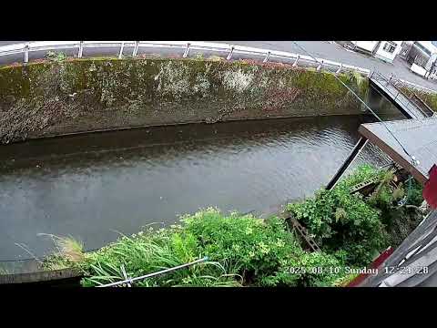 静岡県 静岡市駿河区桃園町ライブカメラ Shizuoka Suruga Live camera.world.cam