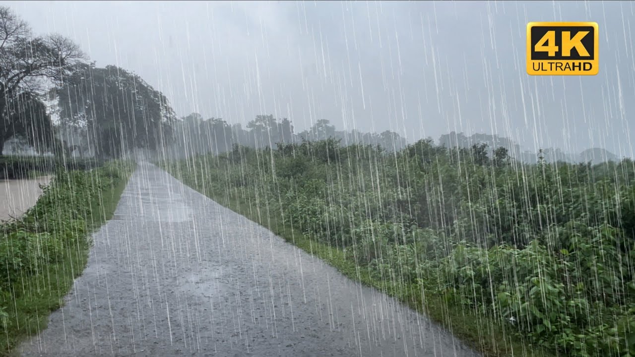 Heavy Rain & Flooded Roads | Relaxing Rain Walk in 4K - YouTube