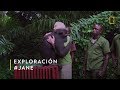 Lo más viralizado: Jane Goodall