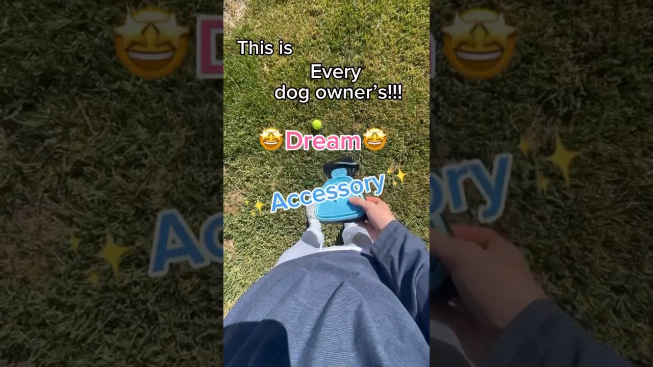 Must Have Dog Accessory👀👀👀…