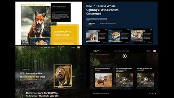 Build Responsive World Wildlife Animal Forest Web Design Using HTML & CSS and JavaScript