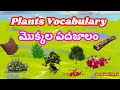 Plant Vocabulary for kids| English-Telugu Bilingual Learning